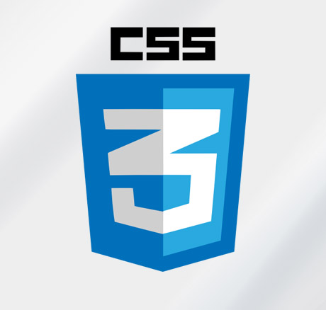 css course training center