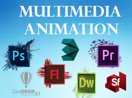 multimedia Animation training center