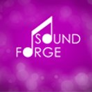 soundforge course training center